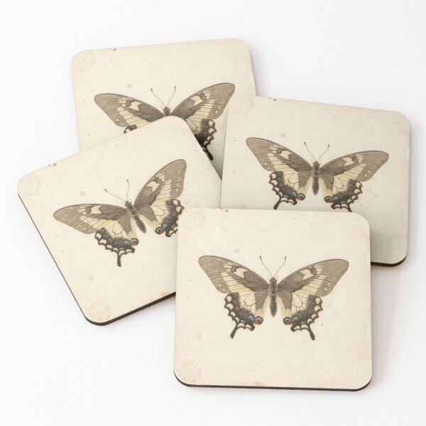 Item preview, Swallowtail Butterfly Specimen Plate designed and sold by PictorialWhimsy.