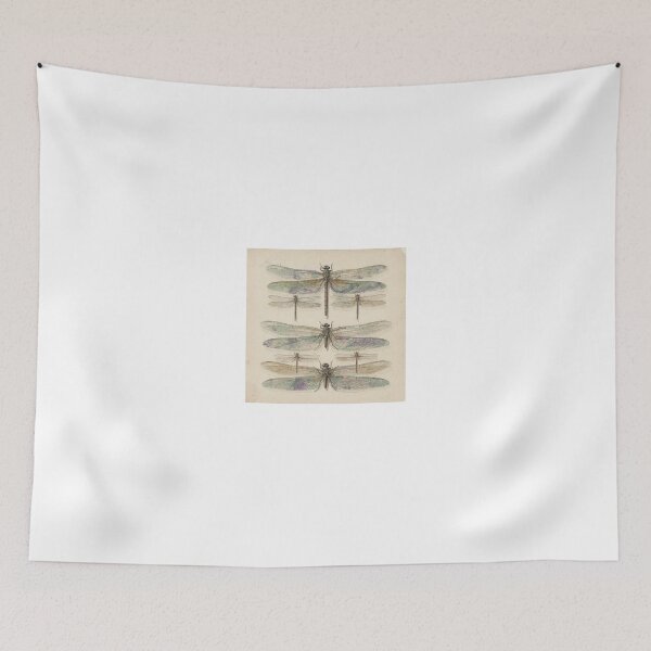 Item preview, Vintage Dragonfly Specimen Plate designed and sold by PictorialWhimsy.