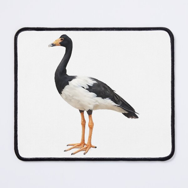Item preview, Magpie Goose Watercolour Painting designed and sold by Jaruart.