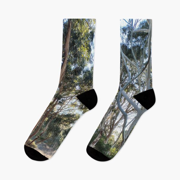 Item preview, Morning Mist Through the Gum Trees at Magpie Springs designed and sold by MagpieSprings.