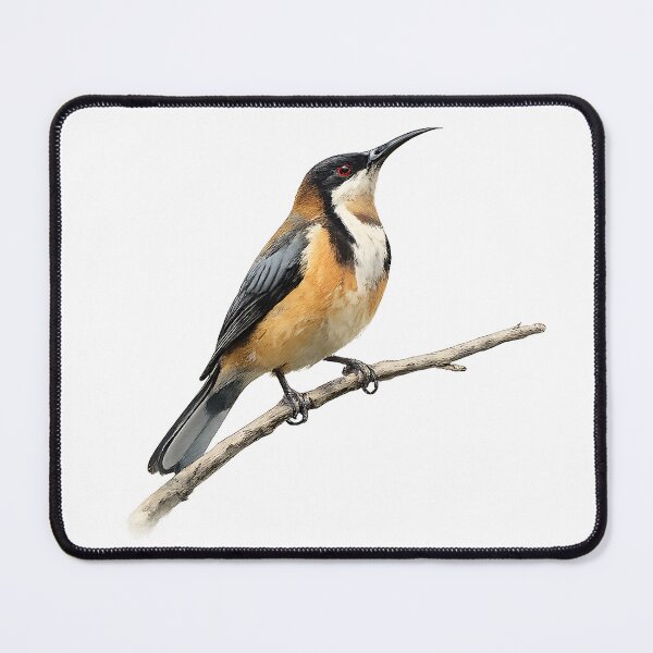 Item preview, Eastern Spinebill Watercolour Painting designed and sold by Jaruart.