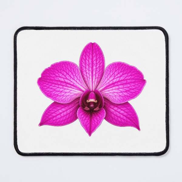 Item preview, Cook Town Orchid Dendrobium bigibbum designed and sold by BlueBandedBee94.