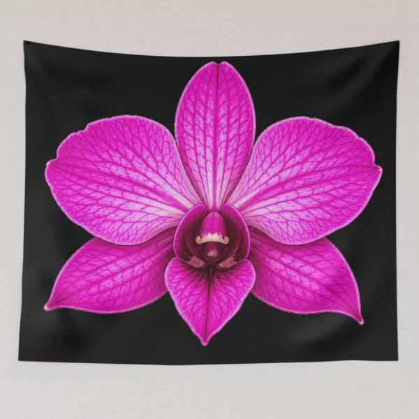 Item preview, Cook Town Orchid Dendrobium bigibbum designed and sold by BlueBandedBee94.