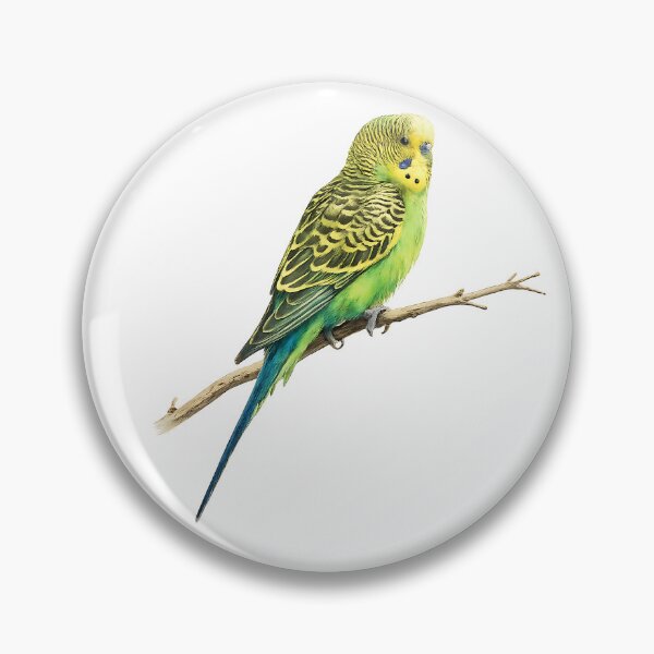 Item preview, Wild Budgerigar Watercolour Painting designed and sold by Jaruart.
