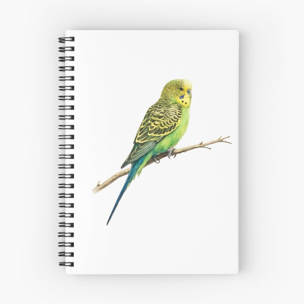 Item preview, Wild Budgerigar Watercolour Painting designed and sold by Jaruart.