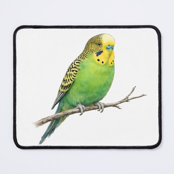 Item preview, Wild Budgerigar Watercolour Illustration designed and sold by Jaruart.
