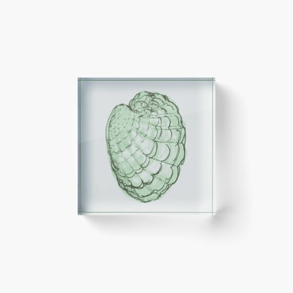 Item preview, Textured Green Cockle designed and sold by OceanTrace.