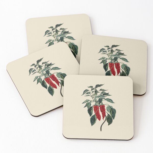 Item preview, Chili Pepper Botanical Vector Illustration designed and sold by taiche.