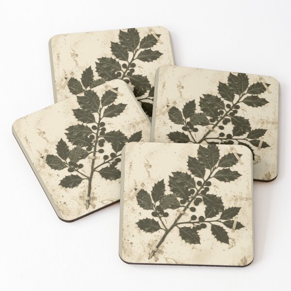 Item preview, Vintage Holly Botanical Press designed and sold by MythosBotany.