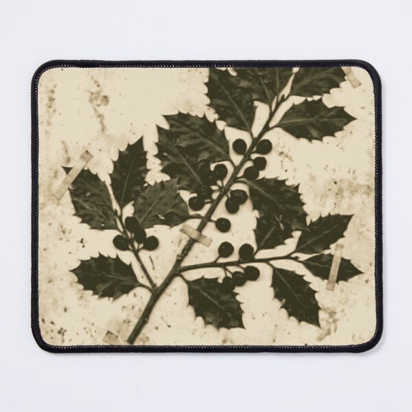 Item preview, Vintage Holly Botanical Press designed and sold by MythosBotany.