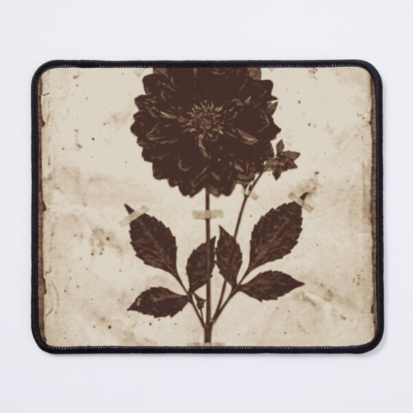 Item preview, Vintage Pressed Dahlia Flower designed and sold by MythosBotany.
