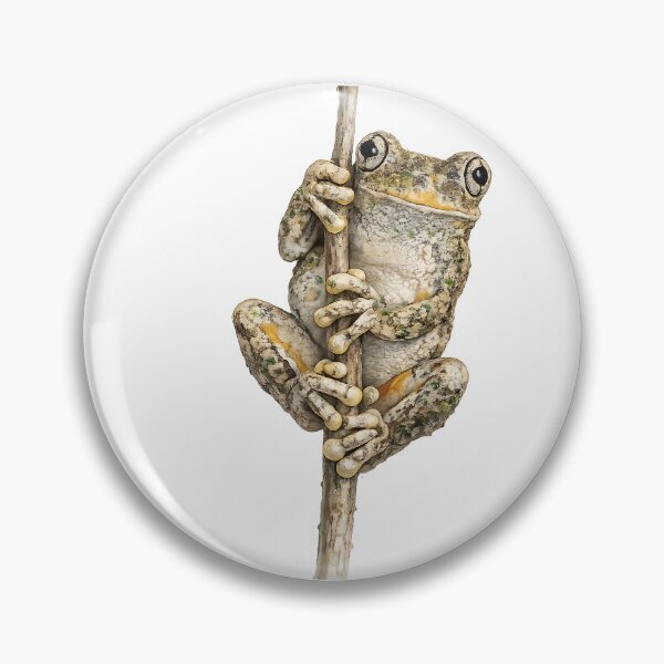 Item preview, Peron's Tree Frog Watercolour Painting designed and sold by Jaruart.