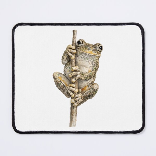 Item preview, Peron's Tree Frog Watercolour Painting designed and sold by Jaruart.