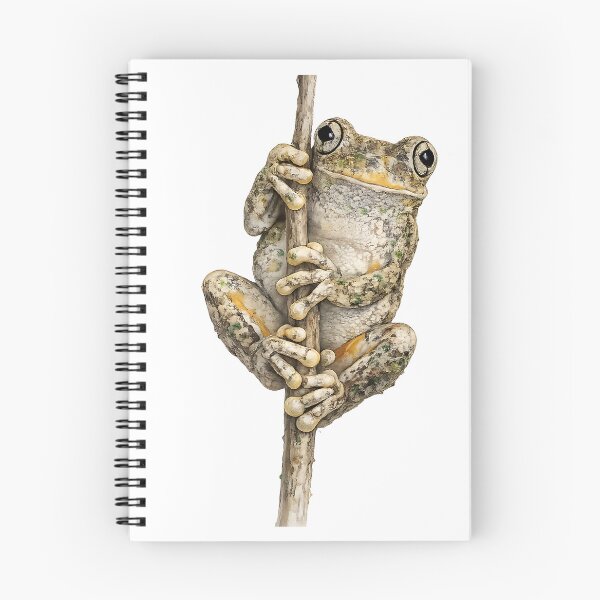 Item preview, Peron's Tree Frog Watercolour Painting designed and sold by Jaruart.