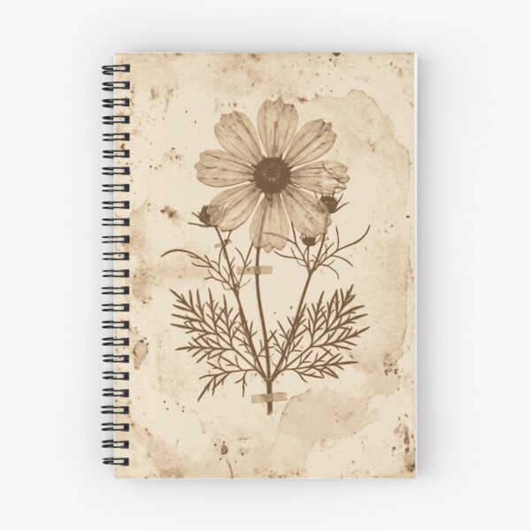Item preview, Antique Pressed Cosmos Flower designed and sold by MythosBotany.
