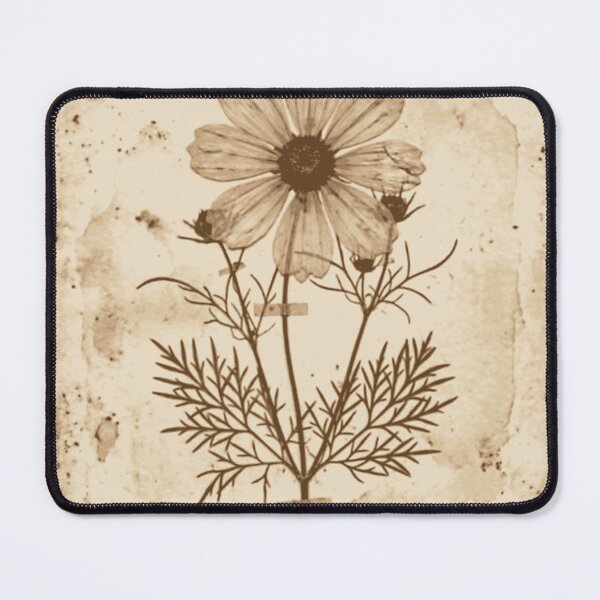 Item preview, Antique Pressed Cosmos Flower designed and sold by MythosBotany.