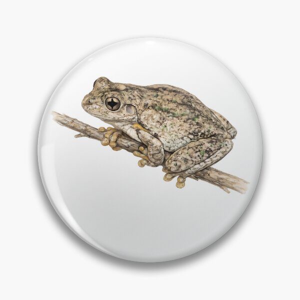 Item preview, Peron's Tree Frog Watercolour Illustration designed and sold by Jaruart.