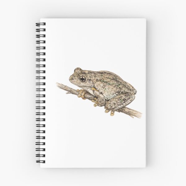 Item preview, Peron's Tree Frog Watercolour Illustration designed and sold by Jaruart.