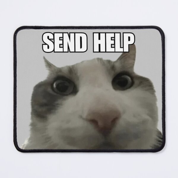 Item preview, Cat Meme 'SEND HELP' designed and sold by Late Theory.