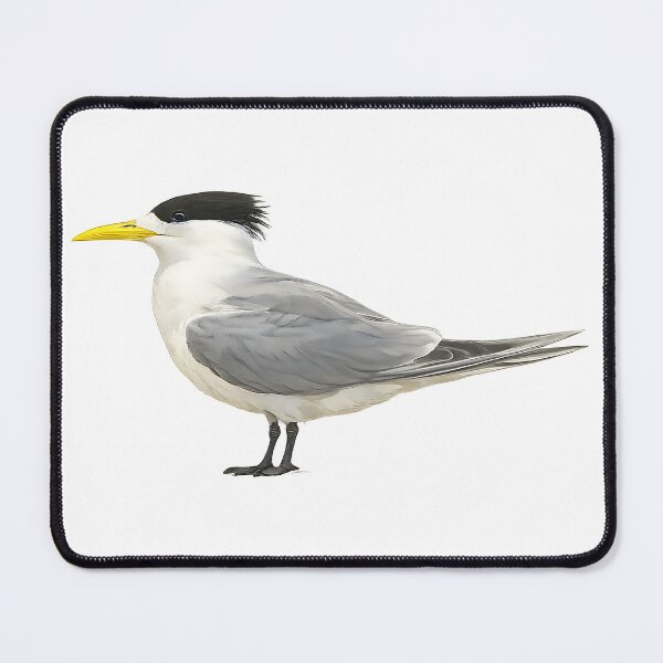 Item preview, Crested Tern Watercolour Painting designed and sold by Jaruart.