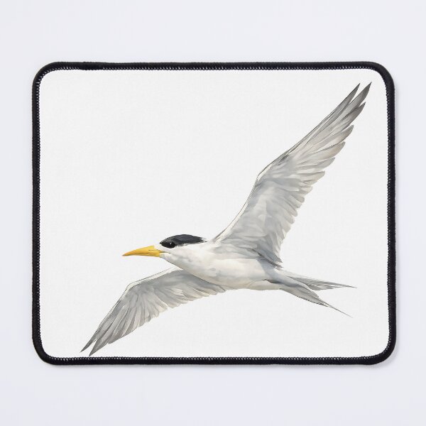 Item preview, Crested Tern in Flight Watercolour designed and sold by Jaruart.