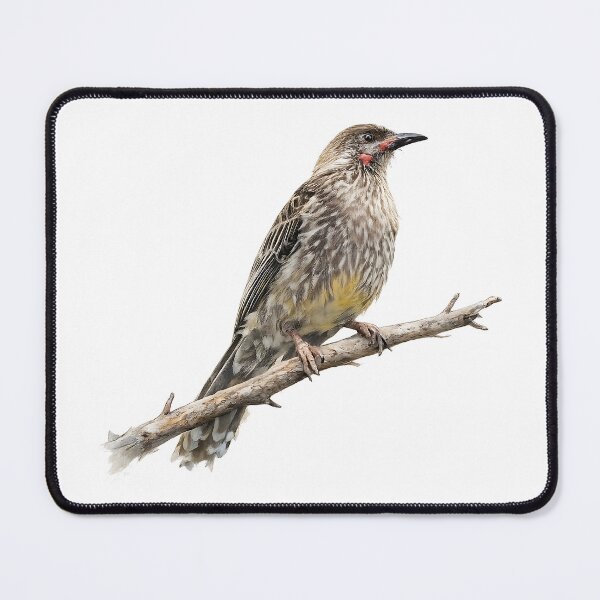Item preview, Red Wattlebird Watercolour Painting designed and sold by Jaruart.