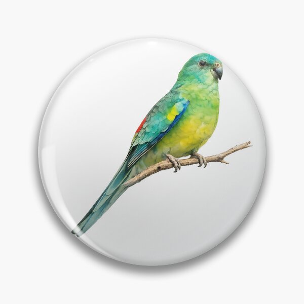 Item preview, Red-Rumped Parrot Watercolour Painting designed and sold by Jaruart.