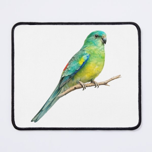 Item preview, Red-Rumped Parrot Watercolour Painting designed and sold by Jaruart.