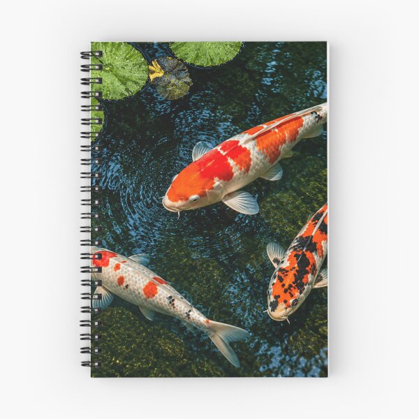 Item preview, Peaceful Koi Trio designed and sold by BlueBandedBee94.