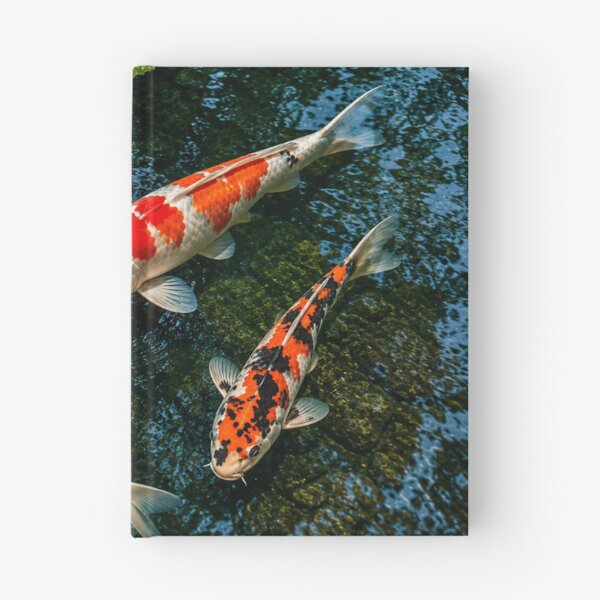 Item preview, Peaceful Koi Trio designed and sold by BlueBandedBee94.