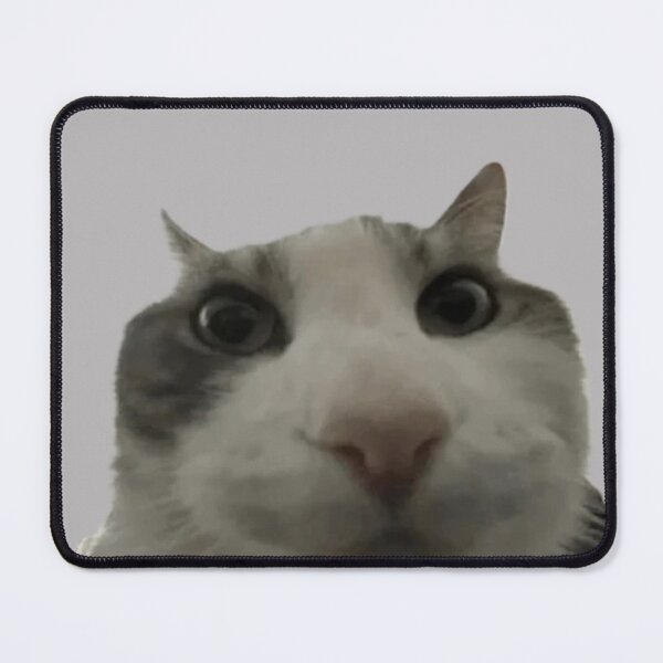 Item preview, Cat Meme 1 designed and sold by Late Theory.