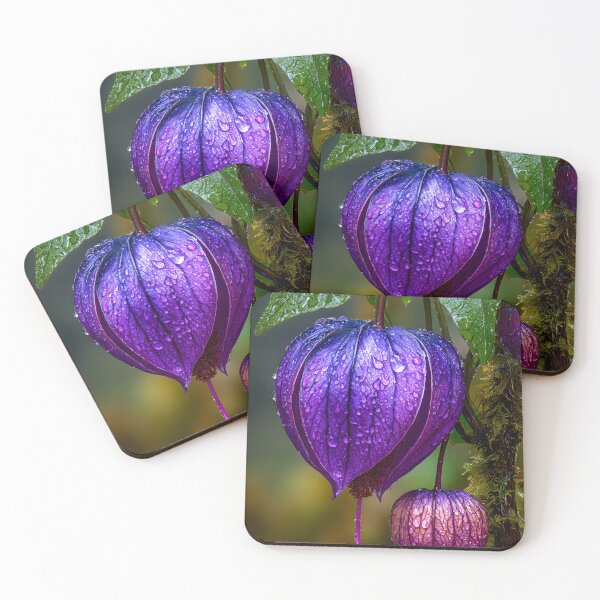 Item preview, Vibrant Purple Flower with Water Drops in Nature designed and sold by Artessie.