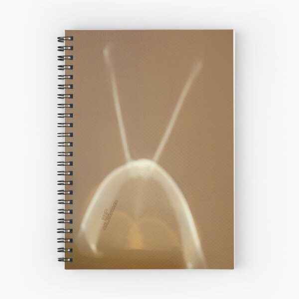 Item preview, Space alien at my wall, photo designed and sold by AK-Hevonen.