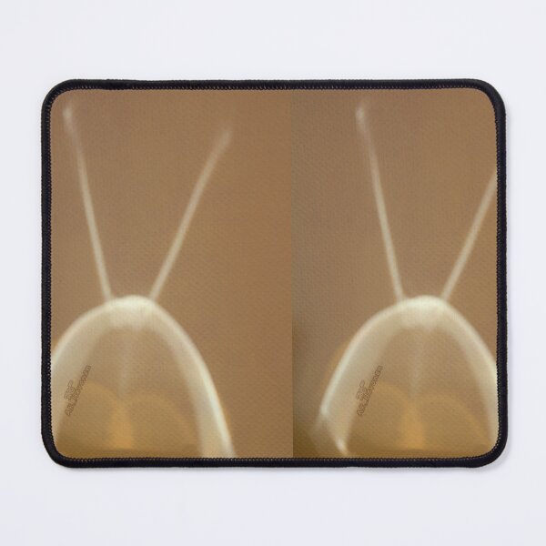 Item preview, Space alien at my wall, photo designed and sold by AK-Hevonen.