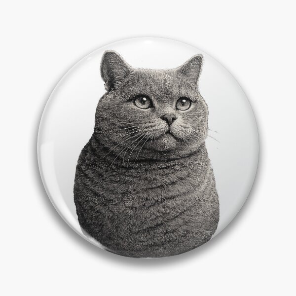Item preview, Engraved illustration of a British Shorthair cat portrait designed and sold by Inspired Arts.