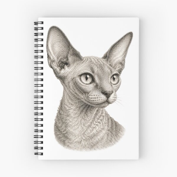 Item preview, Engraved illustration of a Devon Rex cat portrait designed and sold by Inspired Arts.