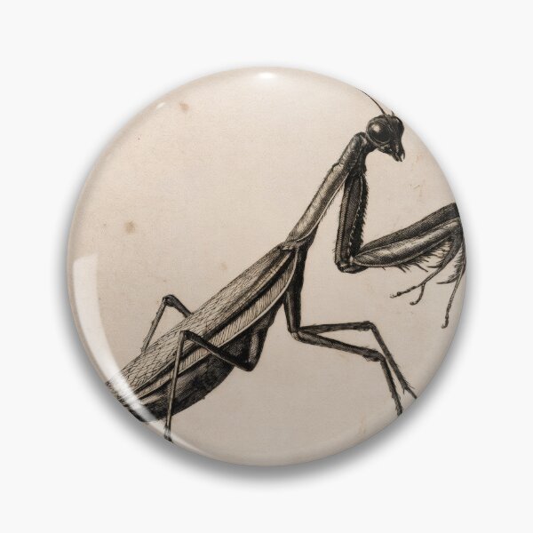 Item preview, T-Shirt - Sticker - Vintage Praying Mantis Entomological Illustration designed and sold by ForeverPrintsOK.