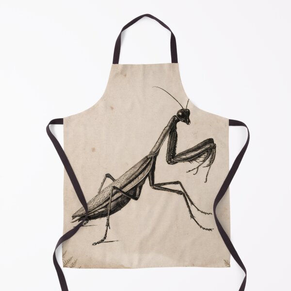 Item preview, T-Shirt - Sticker - Vintage Praying Mantis Entomological Illustration designed and sold by ForeverPrintsOK.