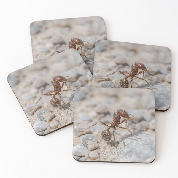 Item preview, Iberian Harvester Ant designed and sold by Ralph Goldsmith.