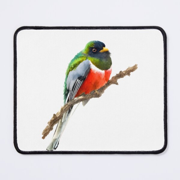 Item preview, Elegant Trogon (Trogon elegans) designed and sold by HOMETOWN86.