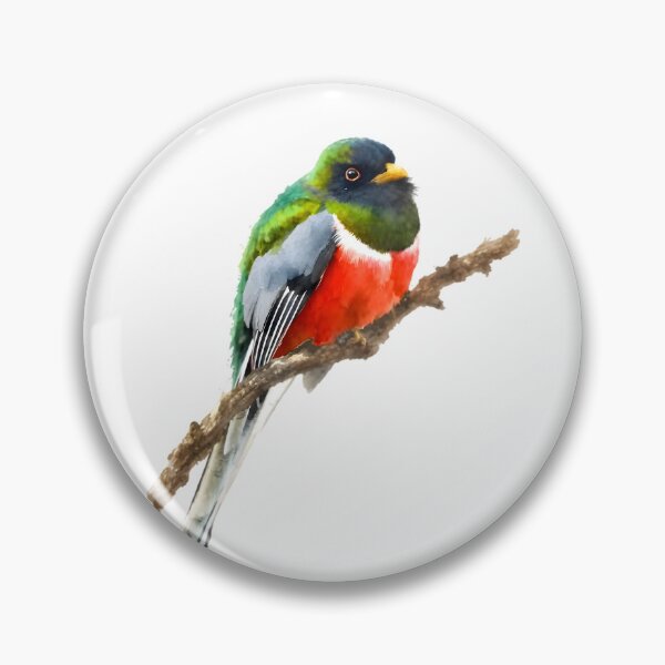 Item preview, Elegant Trogon (Trogon elegans) designed and sold by HOMETOWN86.