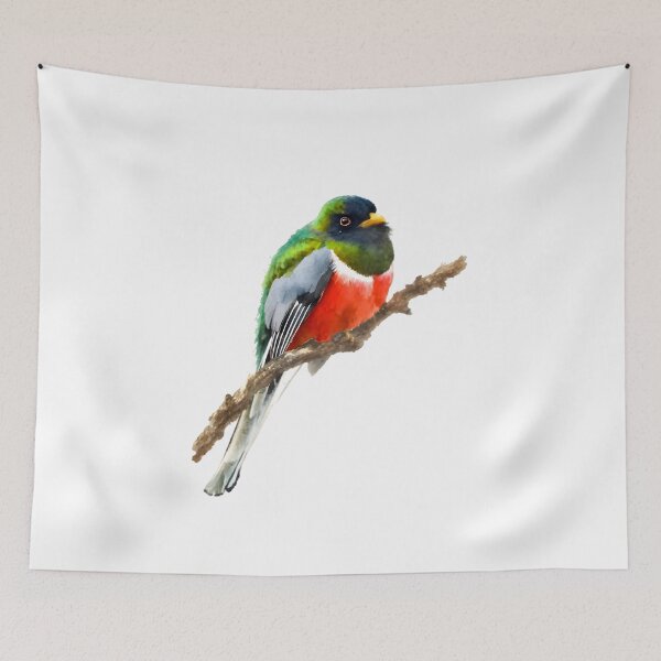 Item preview, Elegant Trogon (Trogon elegans) designed and sold by HOMETOWN86.