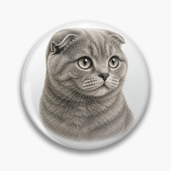 Item preview, Ilustración grabada del retrato de un gato Scottish Fold designed and sold by Inspired Arts.