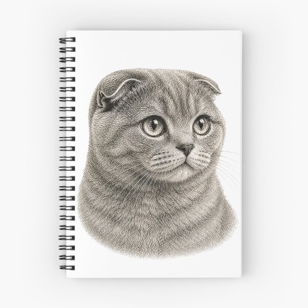 Item preview, Engraved illustration of a Scottish Fold cat portrait designed and sold by Inspired Arts.