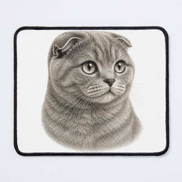 Item preview, Engraved illustration of a Scottish Fold cat portrait designed and sold by Inspired Arts.