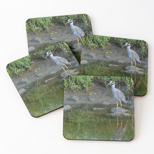 Item preview, Yellow-Crowned Night Heron on Rock in Canal designed and sold by Pondside-Pics.