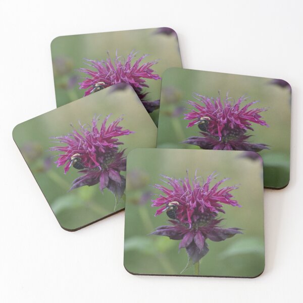 Item preview, Purple Bee Balm Flower Macro Photography designed and sold by TathataPhotos.