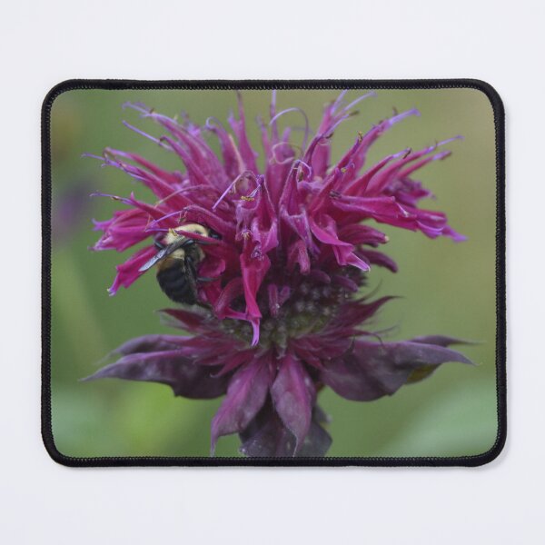 Item preview, Purple Bee Balm Flower Macro Photography designed and sold by TathataPhotos.