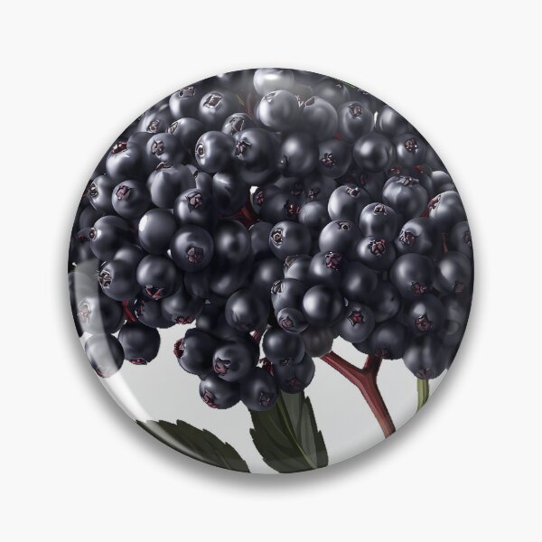 Item preview, Elderberry Branch Icon designed and sold by pumsquare.