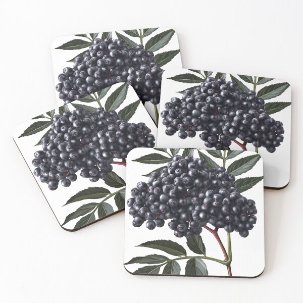 Item preview, Elderberry Branch Icon designed and sold by pumsquare.